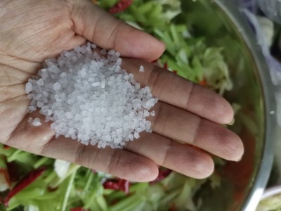 內蒙古爛腌菜的傳統腌制方法