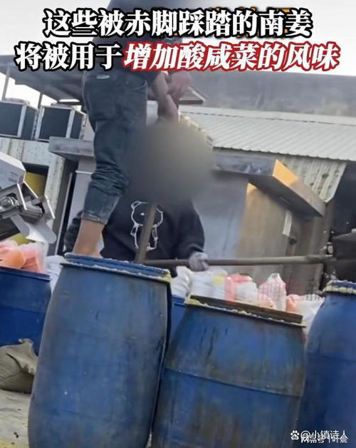 腳踩腌菜背后 315曝光的食品安全隱憂與腌制行業監管之困